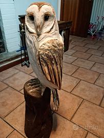 sculture in legno con motosega 