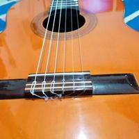 Piretti Liuteria 1970