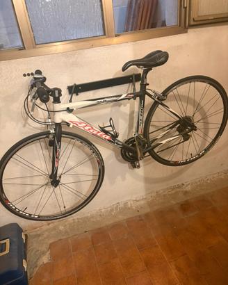 Bici da donna sportiva