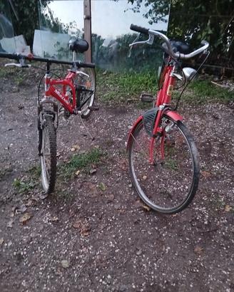 2 biciclette 