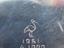 Immagine 5