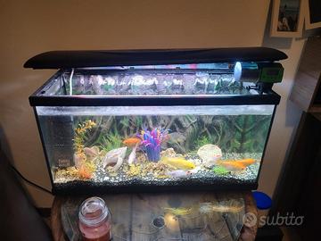 acquario 150 lt