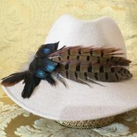 Cappello tipo Borsalino con piume