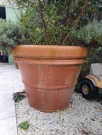grande conca terracotta diametro 90 altezza 70