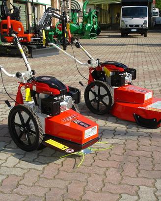 Decespugliatore Trimmer Sfalciatutto Tekna TR60