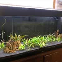 Aquario Juwel Rio 240