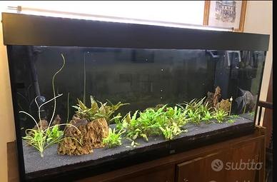 Aquario Juwel Rio 240