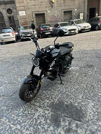 Lem brutus 110 cc
