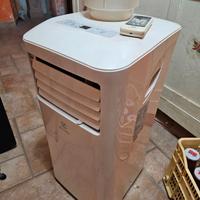 Condizionatore portatile pinguino Electrolux  9000