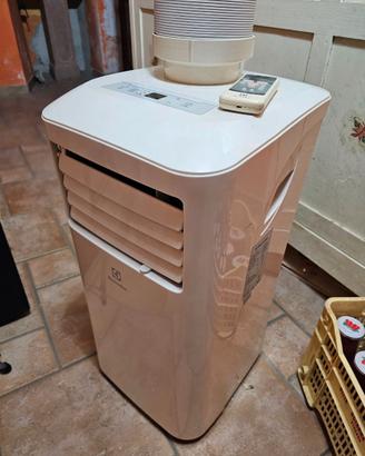 Condizionatore portatile pinguino Electrolux  9000