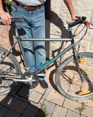 Bicicletta MTB