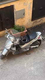 Beverly 500