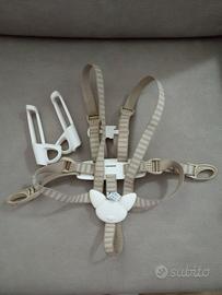 Cinture 5 punti Stokke Harness 