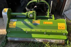 Trincia Celli Vega