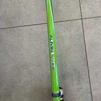 Canna bolognese shimano