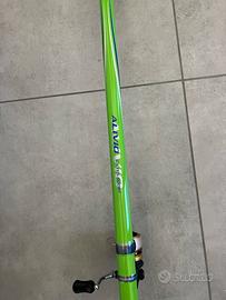 Canna bolognese shimano