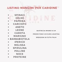 Mangimi specifici per Caridine o pesci da fondo