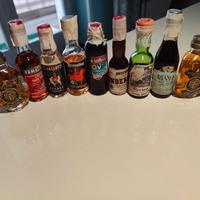 Collezione di Mini Bottiglie di Liquore Vintage
