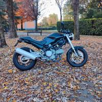 Ducati Monster