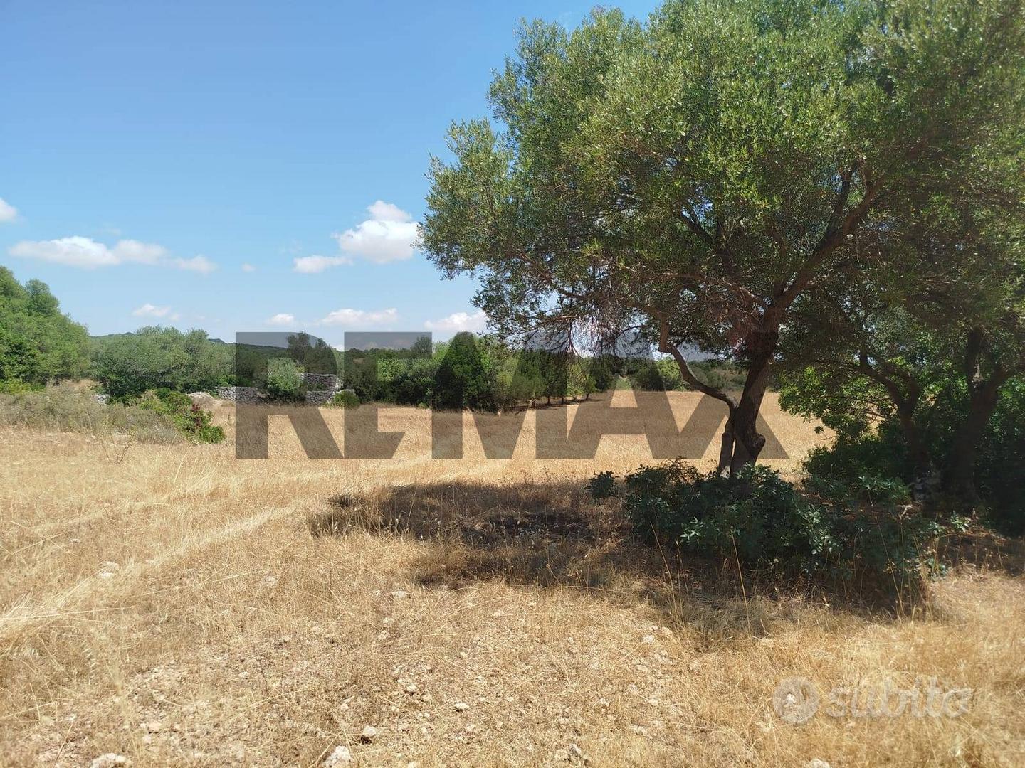 Terreno - Noto - Vista 3