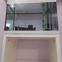 acquario askoll 40 litri