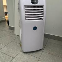 Condizionatore portstile pinguino