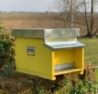 amanti di apicoltura
