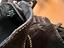 Immagine 5