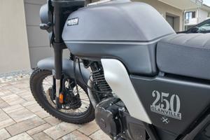 Brixton Glanville 250