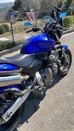 Hornet 600