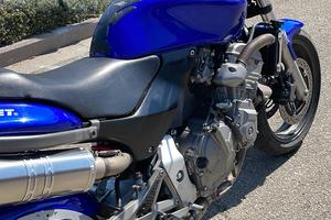 Hornet 600