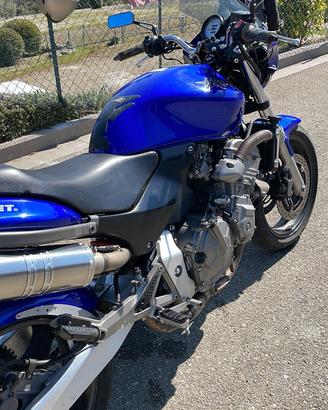Hornet 600