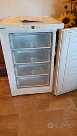 CONGELATORE VERTICALE