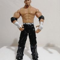 WWE Matt Hardy wrestling action figure Jakks 2006