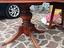 Immagine 1