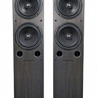 mordaunt short carnival 6 