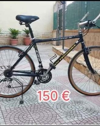 Mountain bike anni 90