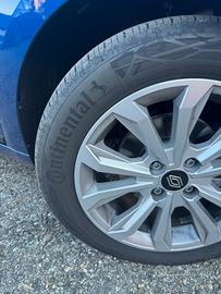 Gomme estive continental