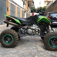 ARTIC CAT DVX 400