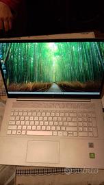 Notebook Laptop HP ENVY 17-CG0004NL nr2 HDD 16GB