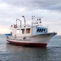 Barca a motore pesca turismo pesca parangaria