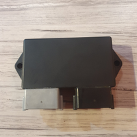 Centralina Harley-Davidson Night Train 1450