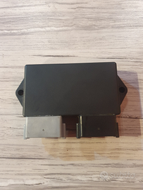 Centralina Harley-Davidson Night Train 1450