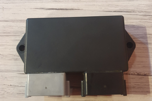 Centralina Harley-Davidson Night Train 1450