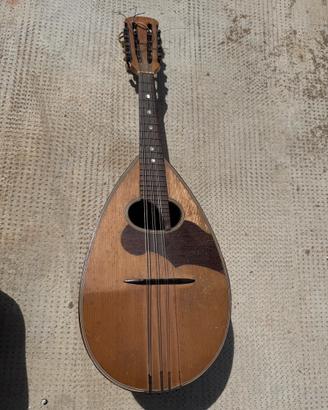 Mandolino  F.lli vinaccia 1893