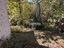 Immagine 20