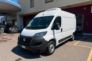 Fiat Ducato Isotermico con Frigorifero