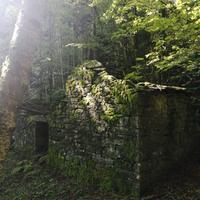 Terreno boschivo con rustico a tagliole