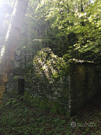Terreno boschivo con rustico a tagliole
