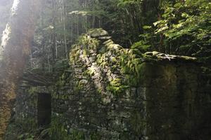 Terreno boschivo con rustico a tagliole